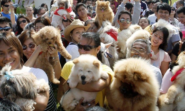 Image: Dog owners hold up their pets to be blessed before a dog fashion show advocating animal rights in Quezon City in Metro Manila