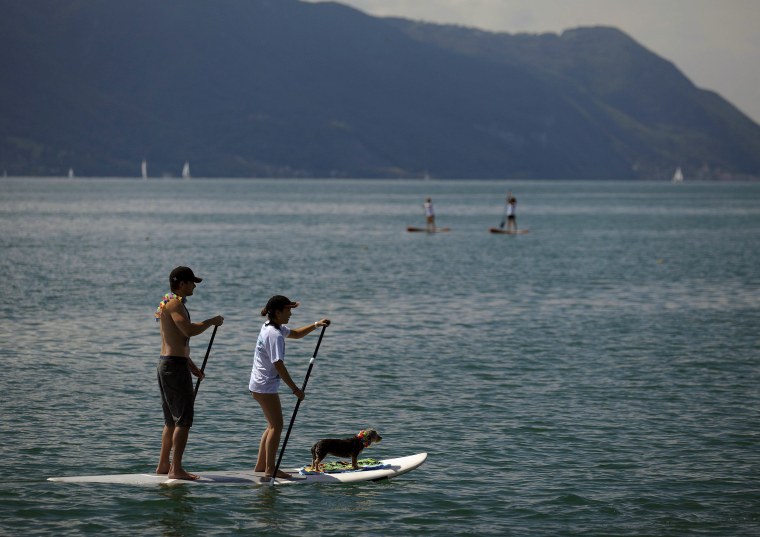 Image: A woman and a man paddle with their dog on a board during a the \"Ride for the Cause\" stand up paddle charity event on Lake Leman in Montreux