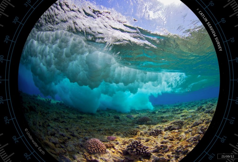 Virtual Reefs Take a virtual dive