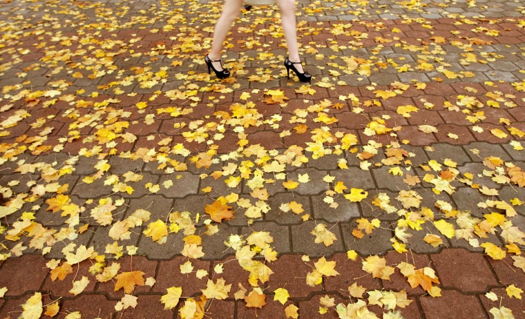 Image: Woman walks on a pavement covered with autumn leaves in central Minsk