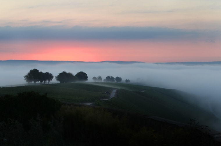 Image: Morning fog in Germany