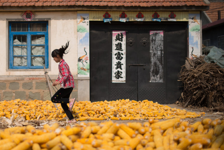 Image: TOPSHOTS-CHINA-ECONOMY-AGRICULTURE-CORN