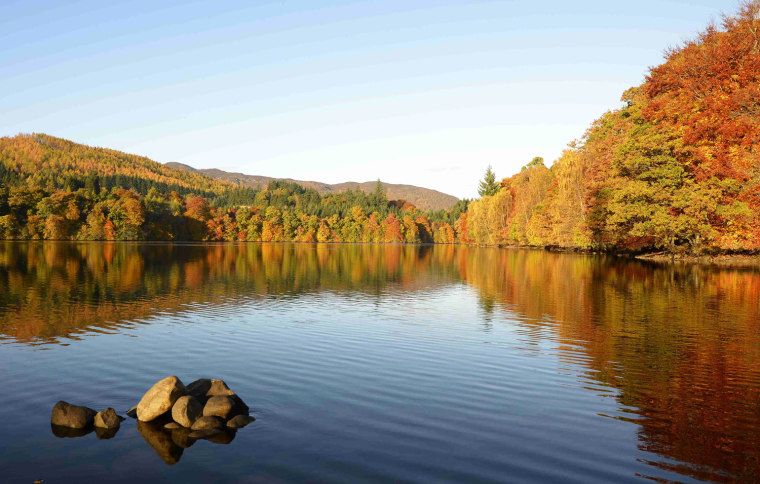 Image: Autumn trees are reflected in the water of Faskally Loch near Pitlochry, Scotland
