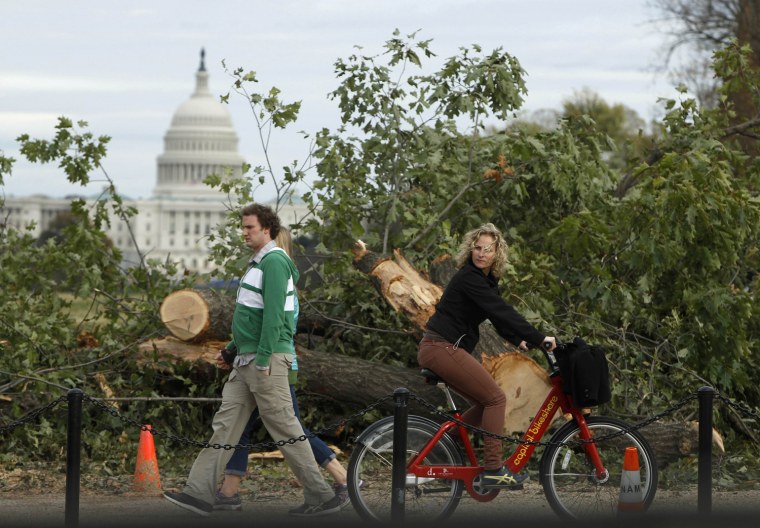 Image: Pedestrians pass by a tree that was destroyed by Hurricane Sandy in Washington
