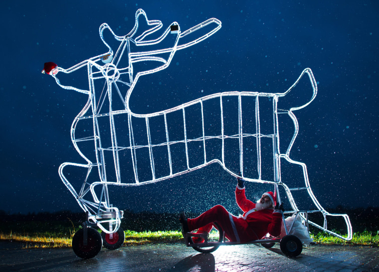 Image: Reindeer on wheels- \"Didi's\" new bicycle creation