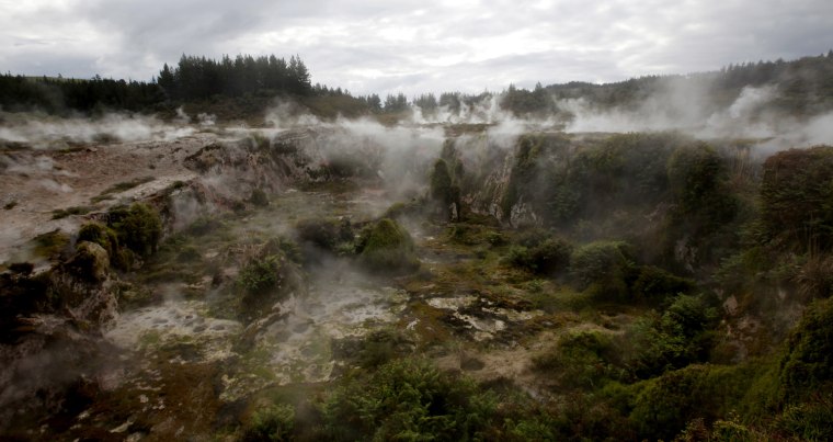 Steam rises from the ground at the Craters of the Moon Geothermal Park near Taupo