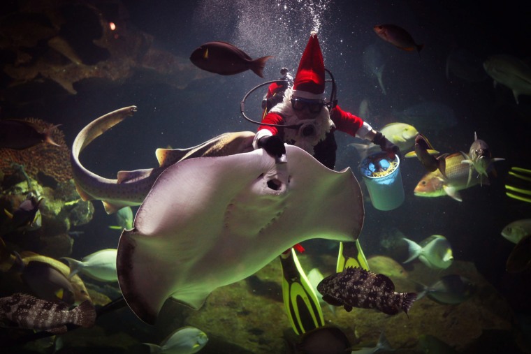 Image: Diving Santa