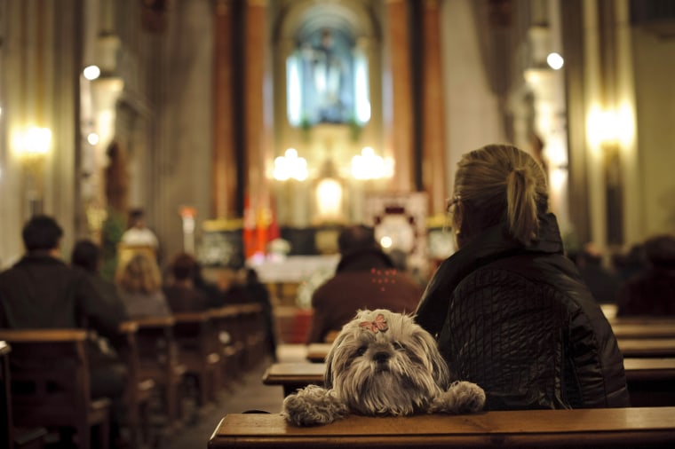 Image: bring pets to church