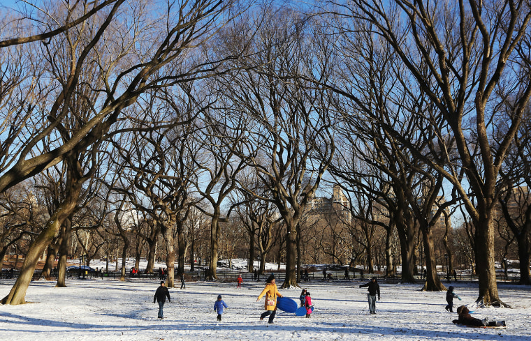 Image: Snow Brought In To Central Park For Kids Winter Jam Event