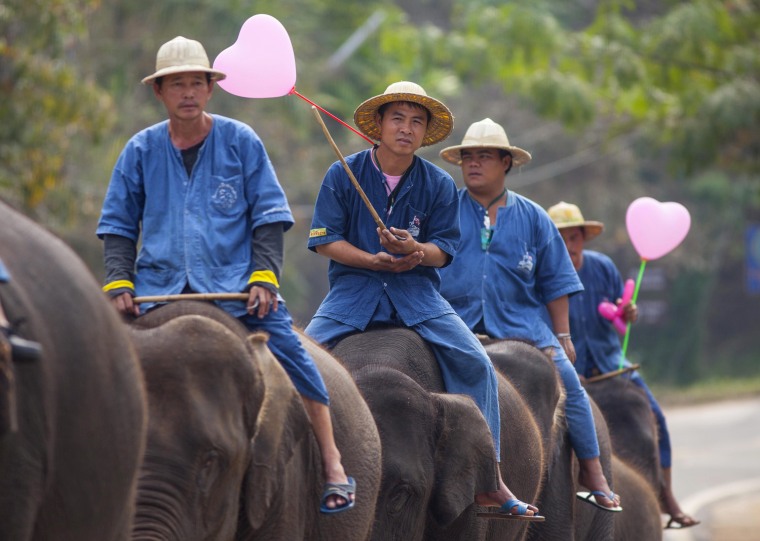 Image: Thai's celebrate Valentine's Day