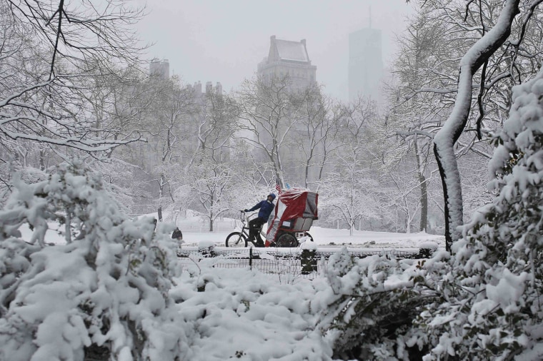 Image: A bike taxi takes passengers for a tour of Central Park in the snow in New York