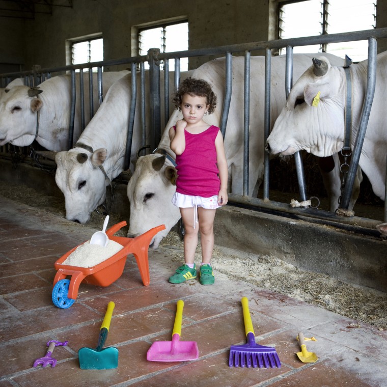 Alessia Pellegrini, 5 - Castiglion Fiorentino, Italy

Alessia was born and raised in the country, his family owns one of the largest farms in the city. She loves to play with animals and helping hes grandfather with the work of the farm. With her small tools she brings food to the many Chianina cows.