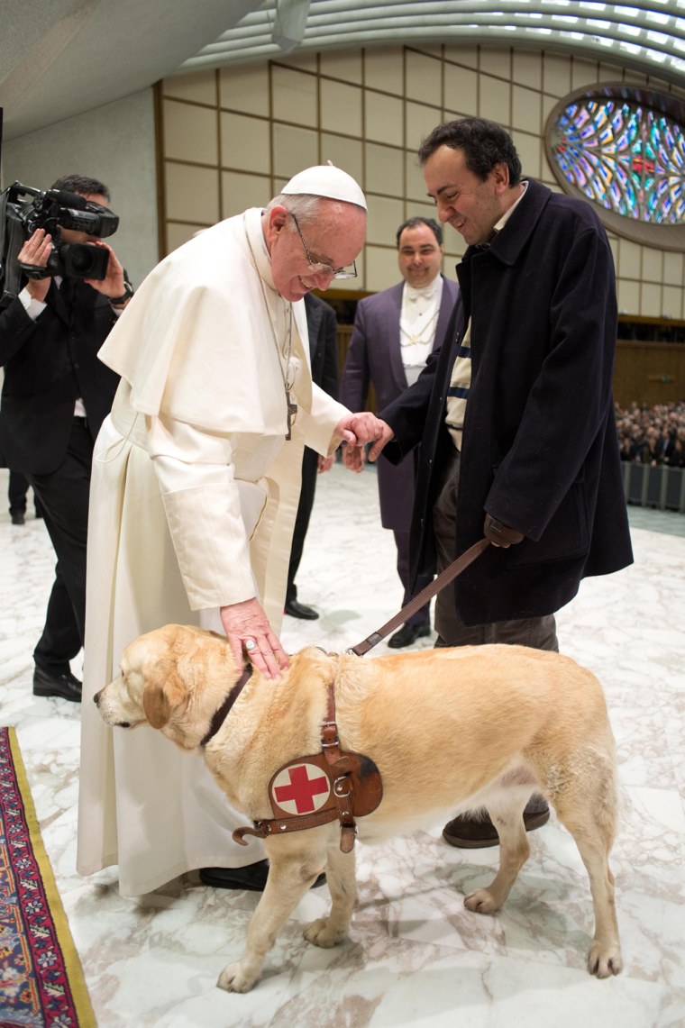 Image: Pope Francis I greets a man with a guide dog as he conducts a general audience in the Paul VI hall for members of the media at the Vatican