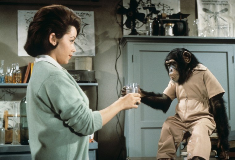 THE MONKEYS UNCLE, Annette Funicello, 1965