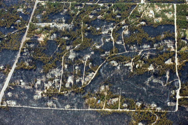 Image: Burnt trees and destroyed homes are left in the wake of a wildfire in the densely wooded Black Forest area northeast of Colorado Springs