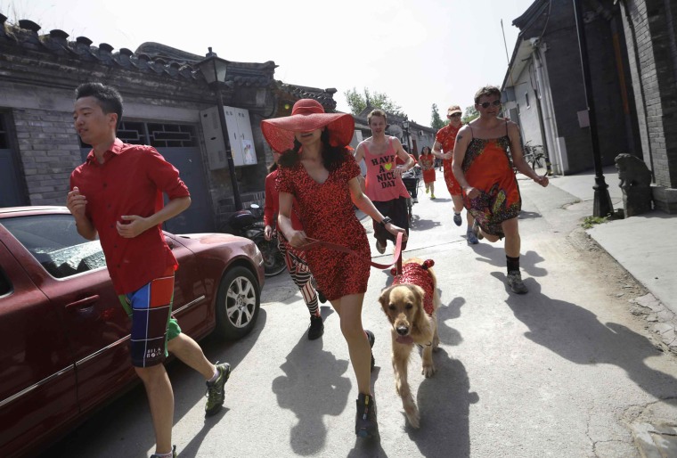 Image: A participant and her pet dog, both dressed in red dresses, run along a Hutong during the Red Dress Run charity event on Mother's Day in Beijing