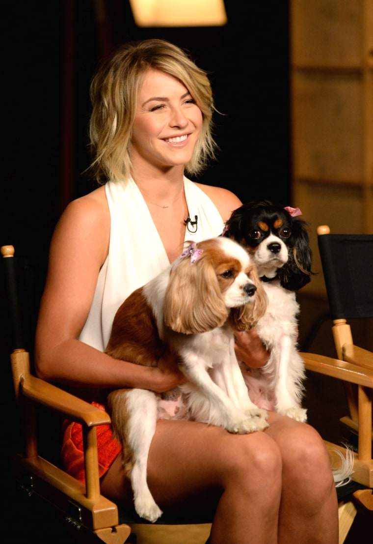 Image: Lexi And Harley Join Their Mom, Julianne Hough, To Celebrate The Purina #PetsAtWork Campaign