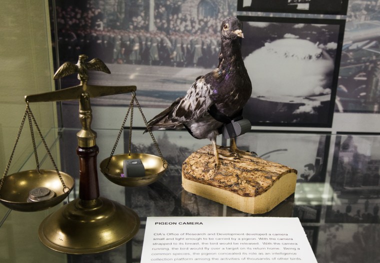 Saturday, June 29, 2013, Langley, VA (John Makely / NBC News)
The CIA museum.