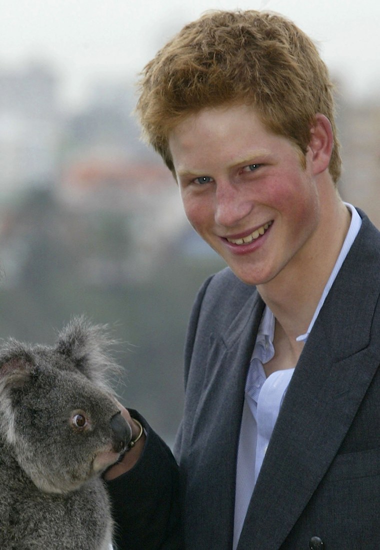 Prince Harry holds Koala