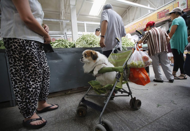 Image: A dog looks out from baby stroller while its owner buys vegetables in a market in Beijing