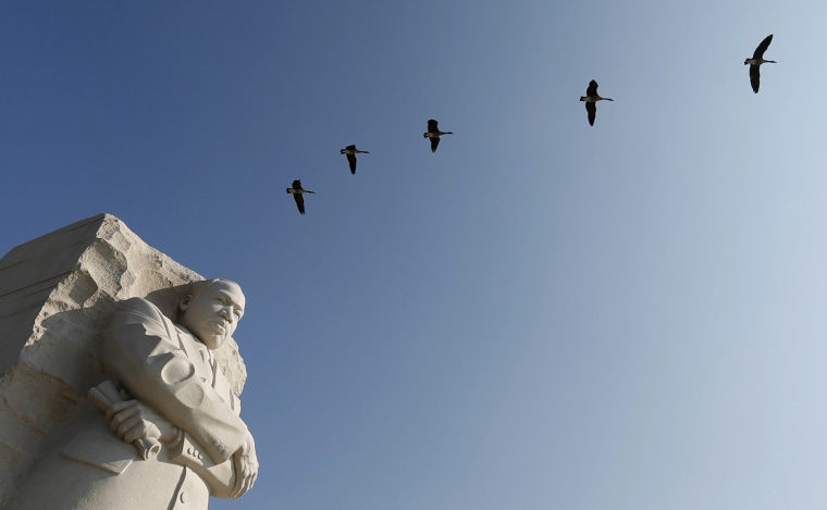 Image: Geese fly over the Martin Luther King Jr. Memorial in Washington