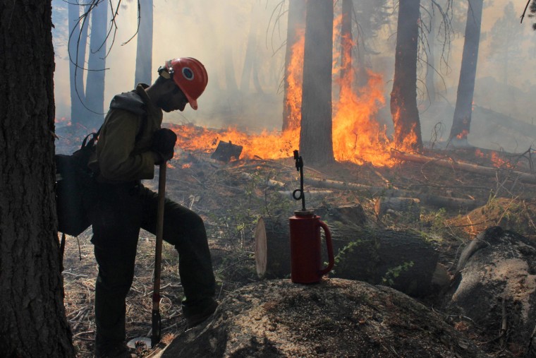 Image: A fire crew members works near a controlled burn in the area near the Rim Fire