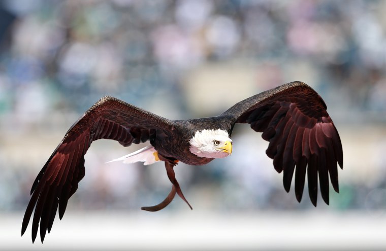 Image: San Diego Chargers v Philadelphia Eagles