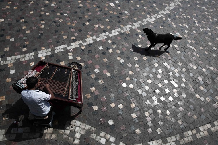 Image: A stray dog is seen next to a Romanian musician who plays Tambal at central Monastiraki square in Athens