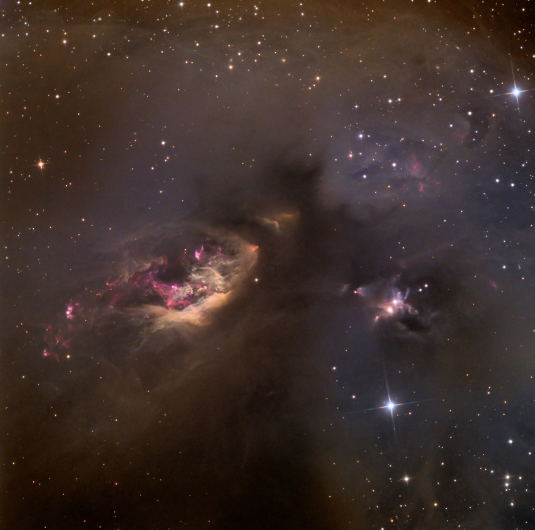 Winner: 
Celestial Impasto: Sh2 - 239 Â© Adam Block (USA)
Structures like this often seem unchanging and timeless on the scale of a human lifetime.  However, they are fleeting and transient on astronomical timescales. Over just a few thousand years the fierce radiation from the stars in this nebula will erode the surrounding clouds of dust and gas, radically altering its appearance.