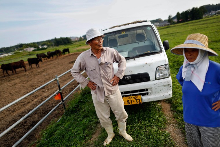 Image: Noboru and Nagako Harada stand among their cows in the evacuated town of Namie in Fukushima prefecture