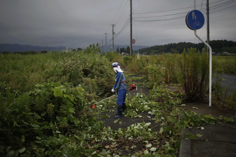 Image: A worker from Tokyo Electric Power Co. (TEPCO), a company that runs the tsunami-crippled Daiichi nuclear plant cuts the dense vegetation that grew wild in the evacuated town of Namie