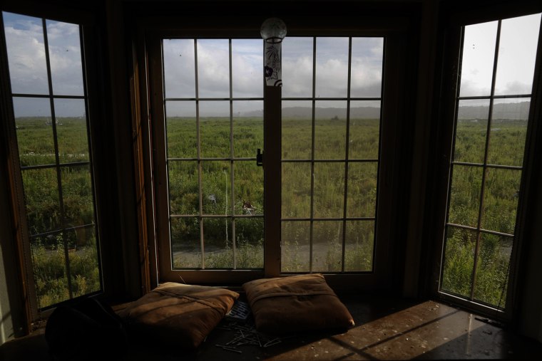 Image: Dense vegetation is seen from inside an abandoned house at the tsunami destroyed coastal area of the evacuated town of Namie