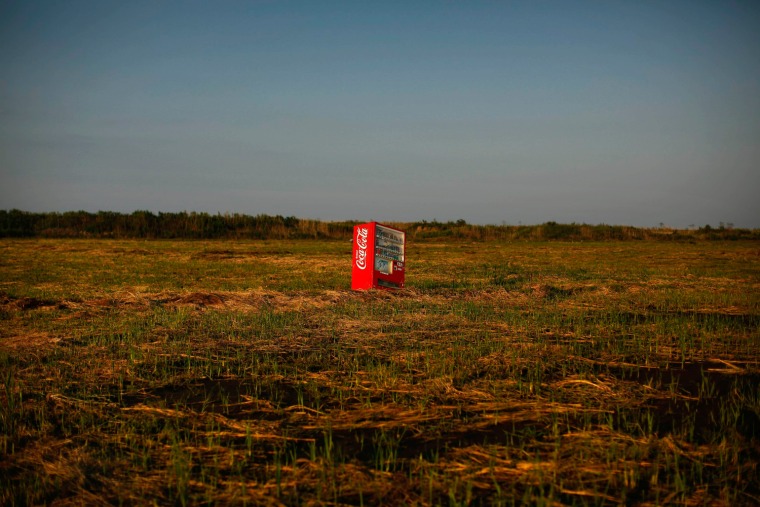 Image: A vending machine, brought inland by a tsunami, is seen in a abandoned rice field inside the exclusion zone at the coastal area near Minamisoma in Fukushima prefecture