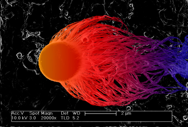 The picture was taken after the growth by CVD of silicon nanowires on a copper foil with gold on top. Magnetic field of earth perturbed by a sun storm
When I saw it I remembered the perturbation caused by sun storms on magnetic field of the earth. These nanowires will be used to manufacture anodes of ion-Li batteries. 

Courtesy of Isidoro Ignacio Poveda Barriga