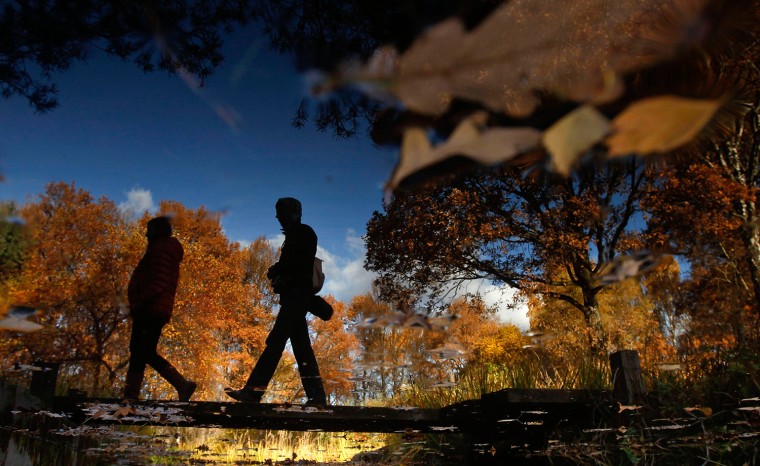 Image: People are reflected in water as they cross a bridge in a park on a sunny autumn day in Moscow