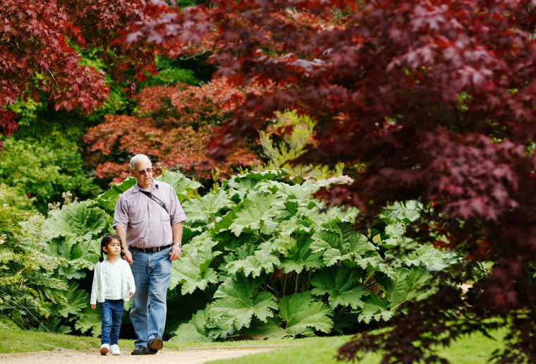 Image: Eva Mahesan and grandfather look at brightly coloured leaves in autumn sunshine in Sheffield Park Gardens near Haywards Heath in Southern England