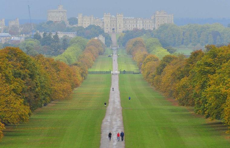 Image: Walkers view the autumn colours along The Great Walk in Windsor Park, with Queen Elizabeth's residence, Windsor Castle, seen behind in Windsor, southern England
