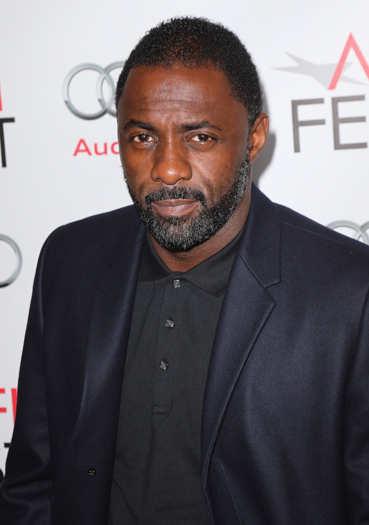 Image: AFI FEST 2013 Presented By Audi Premiere Of The Weinstein Company's \"Mandela: Long Walk To Freedom\" - Arrivals