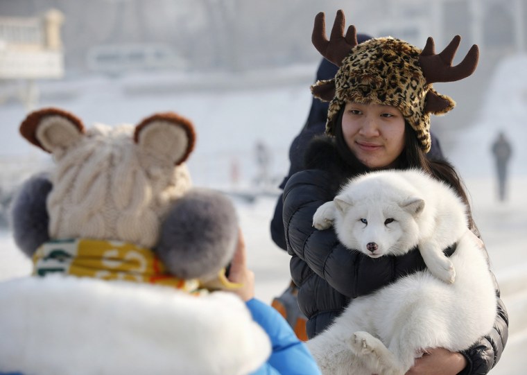 Image: A woman poses with white fox during Harbin Ice and Snow Sculpture Festival in Harbin
