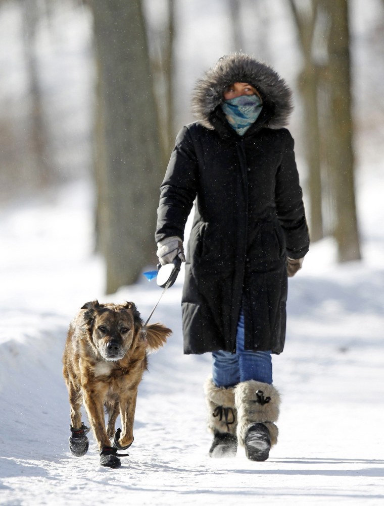 Image: A woman walks her dog around Lake Harriet during winter in south Minneapolis