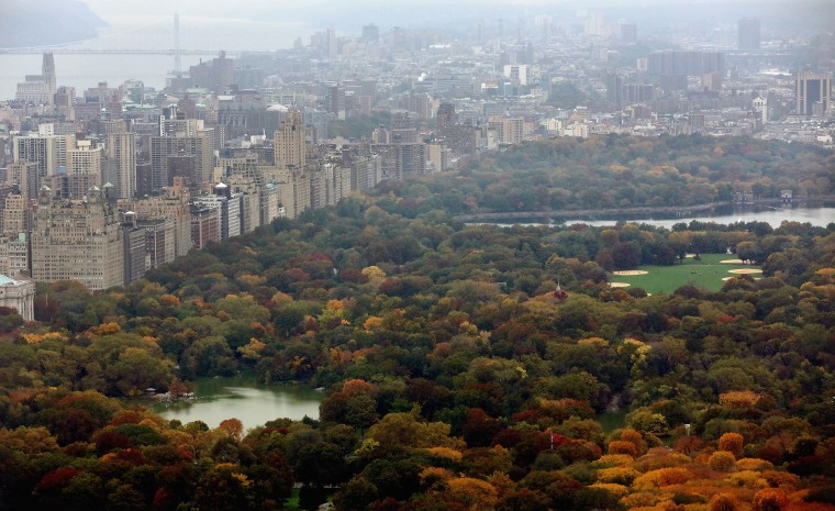 Image: Central Park Receives 100 Million Dollar Donation From Hedge Fund Manager John Paulson