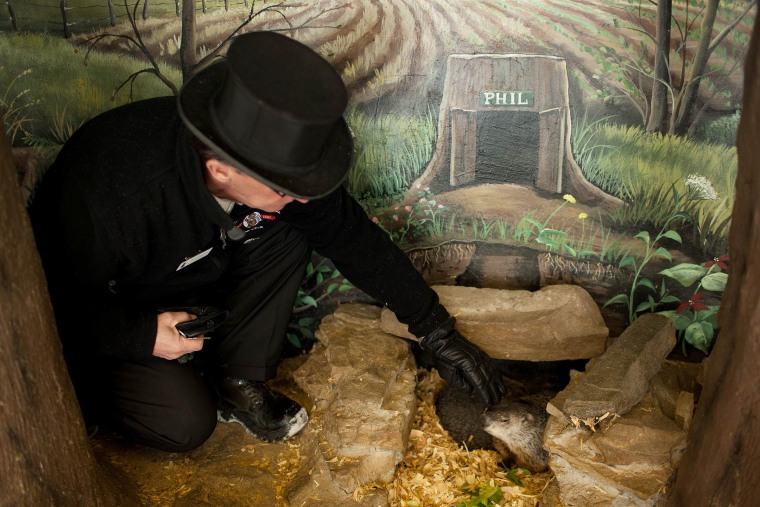 Groundhog Club Inner Circle member Ron Ploucha, pets Punxsutawney Phil while visiting him inside his burrow at the Punxstuawney Library on Sunday, January 26. \"Phil's diet consists of various types of lettuce, iron-rich kale, celery and rabbit feed,\" explains Ploucha. \"A special treat for Phil is a honey &amp; oat granola bar. They are hard and crunchy which helps him keep his teeth healthy, sometimes we will even throw in a piece of wood for him to chew on.\"

Phil also drinks a mysterious elixir that has allowed him to live for 128 years. The average lifespan of a Groundhog is seven years according to the Groundhog Club, but because Phil drink's his special elixir ever year it will allow him to live forever. His wife, Phyllis, is mortal though, and according to Ploucha he meets a new wife approximately every five years. \"Phil and Phyllis do not have any groundhog children, we think they have decided that they are too busy with their professional lives to raise children.\"

On Gro