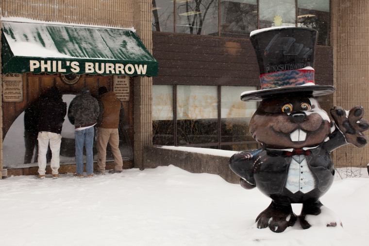 Visitors look at Punxsutawney Phil inside of his burrow at the library in Punxsutawney, PA on Saturday, January 25. Beckoning visitors outside of Phil's burrow is the first Phantastic Phil statue of its kind, representing the Groundhog Club, as part of a project started by the Punxsutawney Chamber of Commerce. 

\"We saw public art projects in other small towns and the Chamber of Commerce thought it would be neat to bring that here and incroporate Phil,\" said Michele Neal, Director of the Punxsutawney Chamber of Commerce. \"At first we planned for 24 statues around town, but were having difficulty getting small businesses to sponsor them.\" Once the community saw visitors congregating for photos with the statue, they were a hit and many businesses and community organizations wanted to take part. We now have a total of 32 statues spread throughout our community!\"

All the statues are designed and produced by local artists.