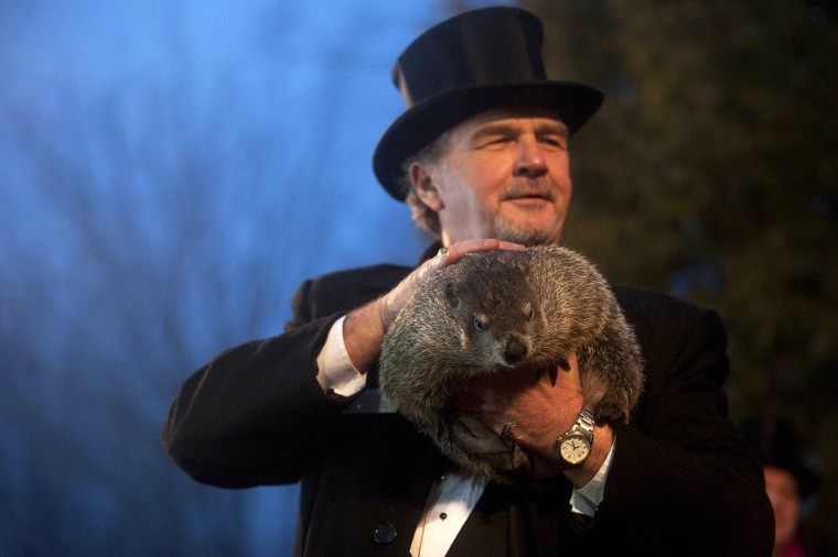 Image: Groundhog co-handler John Griffiths holds up groundhog Punxsutawney Phil after Phil's annual weather prediction on Groundhog Day in Punxsutawney