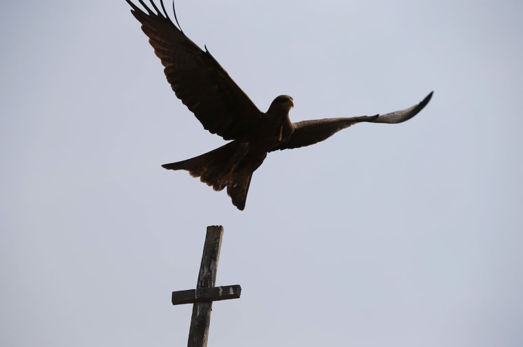 Image: A falcon flies over a church in a village in Upper Nile State