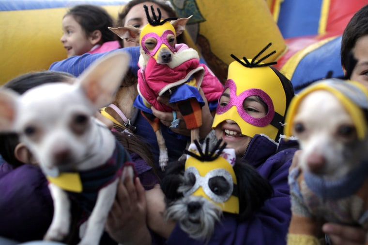 Image: Children pose with their dogs during a birthday party for the two-year-old Chihuahua-breed dog named Barbie in Monterrey