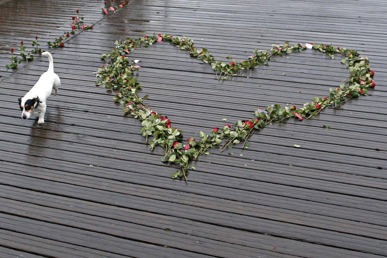 Image: A dog walks by roses placed on the Pont des Arts over the River Seine as part on a publicity campaign on Valentine's Day in Paris
