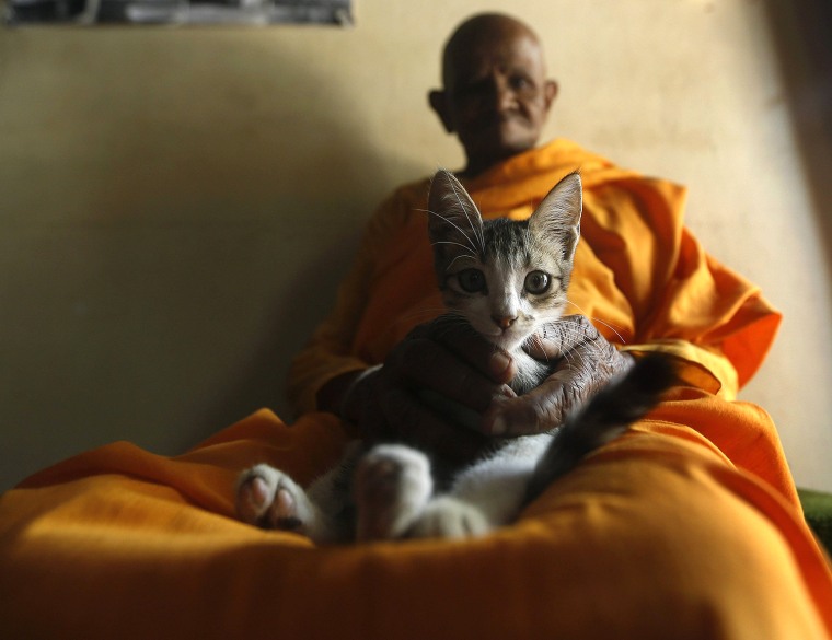 Image: Dasa Sil Matha Kelaniya Silavathi plays with a cat in her temple in Colombo
