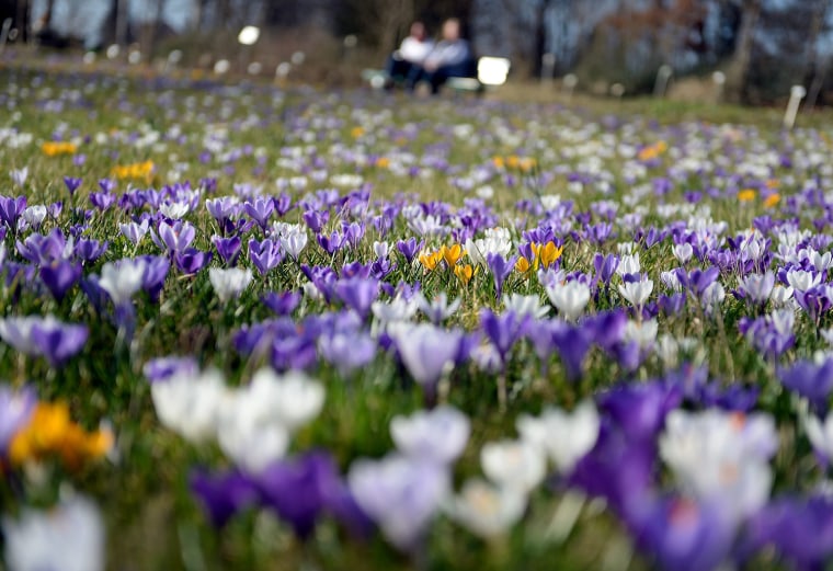 Image: Spring in Berlin