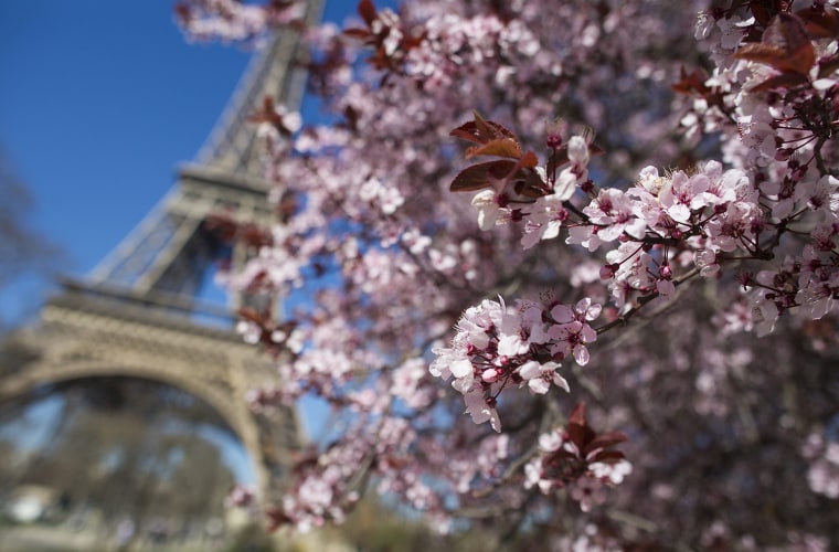 Image: Springtime in Paris
